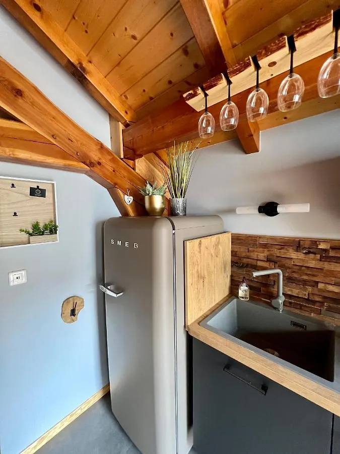 Apartmán Le Meleze Villar-Saint-Pancrace